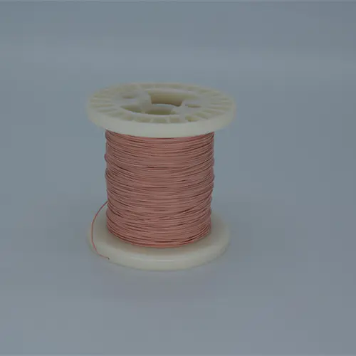 PEEK motor wire