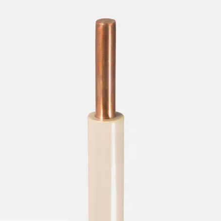 Single Conductor PEEK Wire
