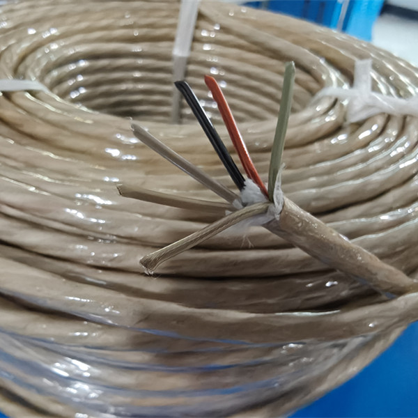 2MMSQ 6C PEEK Cable - CITCable